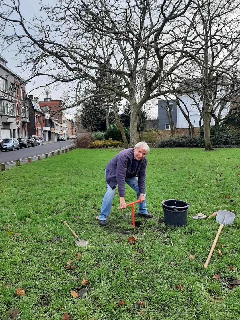 Sapin 2021 1