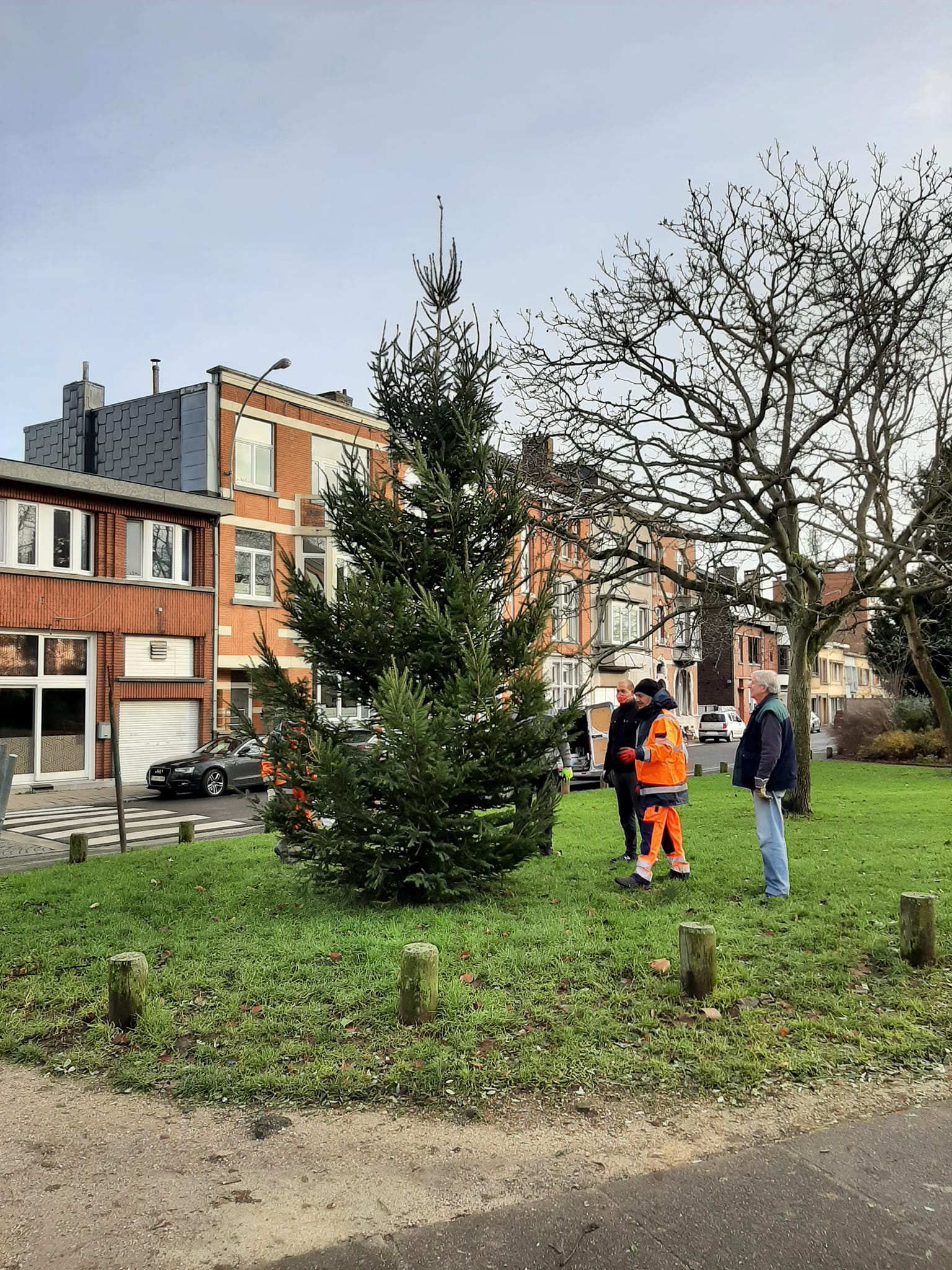 Sapin 2021 4