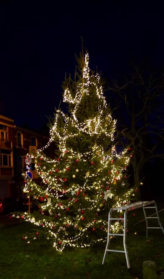 Sapin 2021 6